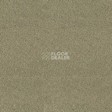 Ковролин Desso Asteranne 7945 фото 1 | FLOORDEALER