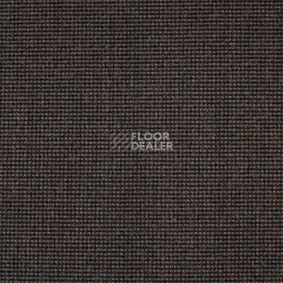Ковролин Carpet Concept Eco 500 6913 фото 1 | FLOORDEALER