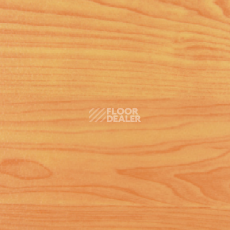 Линолеум DLV Flooring Active Sports AS-651.83 Maple фото 1 | FLOORDEALER