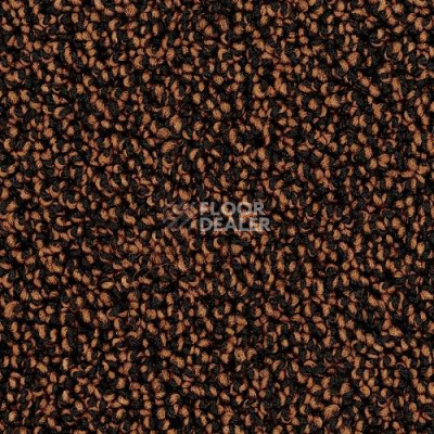 Ковролин Desso Cassini 2055 фото 1 | FLOORDEALER