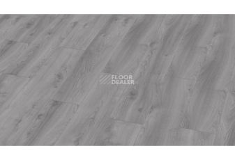 Kronotex Mammut d3670 Дуб Макро Светло-серый фото 1 | FLOORDEALER