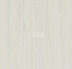 Линолеум Forbo Marmoleum Decibel on Order 525735 sandy chalk фото 1 | FLOORDEALER