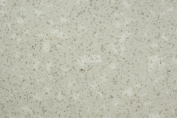 Линолеум Tarkett Acczent Pro Aspect 1 фото 1 | FLOORDEALER