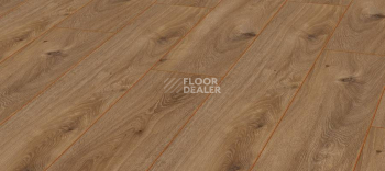 Ламинат Kronotex Exquisit 8мм d4166 Дуб Престиж Натуральный фото 1 | FLOORDEALER