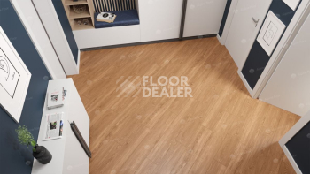 Alpine Floor Sequoia (LVT) Секвойя Royal ЕСО 6-4 LVT фото 3 | FLOORDEALER