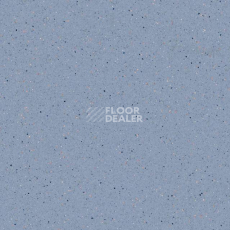 Линолеум Tarkett Zenit 704 фото 1 | FLOORDEALER