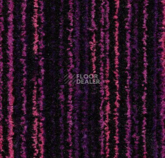 Грязезащитные покрытия Forbo Coral Welcome 3219 Colour Purple фото 1 | FLOORDEALER