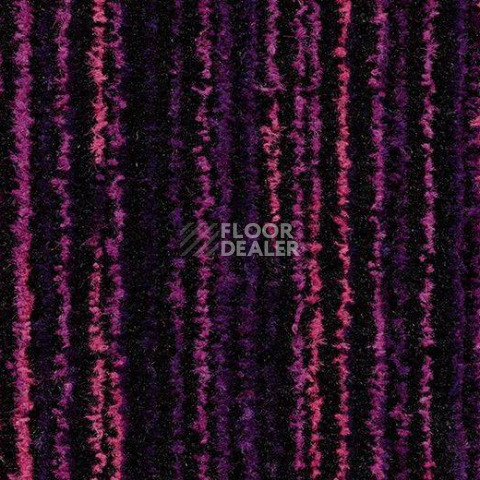 Грязезащитные покрытия Forbo Coral Welcome 3219 Colour Purple фото 1 | FLOORDEALER