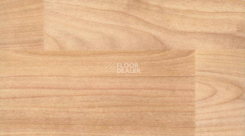 Линолеум Gerflor Taraflex evolution Wood 6350_Light_Cherry_Design фото 1 | FLOORDEALER