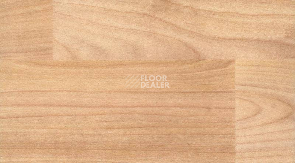Линолеум Gerflor Taraflex evolution Wood 6350_Light_Cherry_Design фото 1 | FLOORDEALER