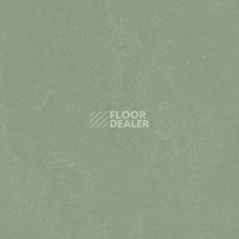 Линолеум Forbo Marmoleum Solid Concrete 3750 pine forest фото 1 | FLOORDEALER