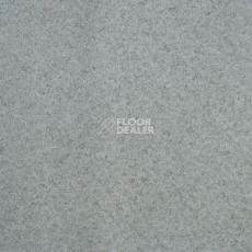 Линолеум Lg Calmpasso CP 93407 фото 1 | FLOORDEALER