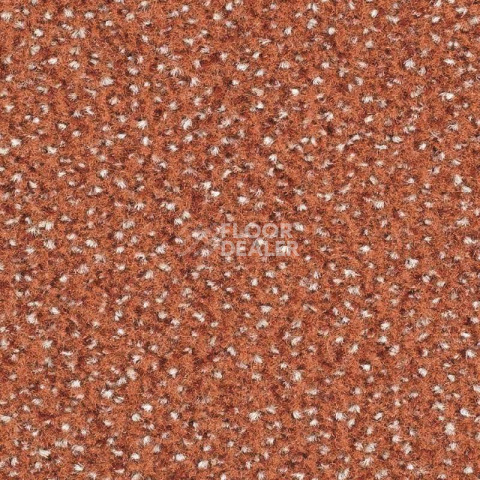 Ковролин Balsan Equinoxe 435 фото 1 | FLOORDEALER