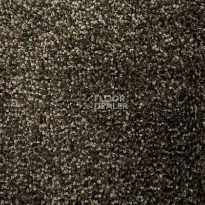 Ковролин Urgaz Либерти 10167 фото 1 | FLOORDEALER