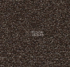 Грязезащитные покрытия Forbo Coral Classic 4784 Coffee фото 1 | FLOORDEALER