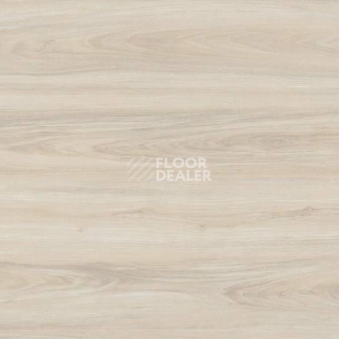 Кварцвиниловые полы Evofloor Optima Click 4.2мм Дуб Айвори фото 1 | FLOORDEALER