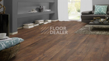 My Floor Chalet 10мм m1005 Каштан фото 16 | FLOORDEALER