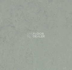 Линолеум Forbo Marmoleum Solid Concrete 3762 loam фото 1 | FLOORDEALER