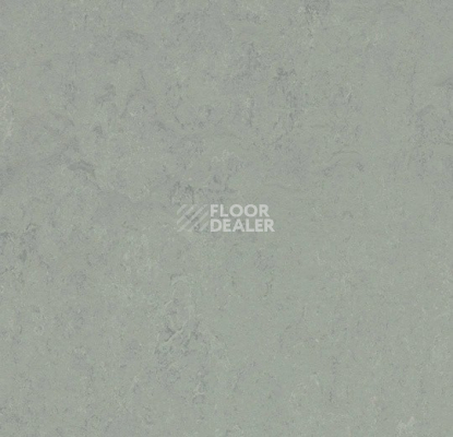 Линолеум Forbo Marmoleum Solid Concrete 3762 loam фото 1 | FLOORDEALER