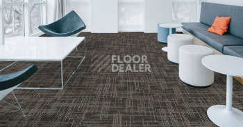 Standard Carpets Casini Casini 548 фото 2 | FLOORDEALER