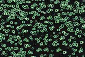 Ковролин Forbo Flotex Sottsass Bacteria 990102 фото  | FLOORDEALER
