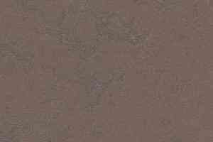 Линолеум Forbo Marmoleum Неожиданная природа 3568 фото  | FLOORDEALER