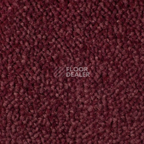 Ковролин Edel Vanity 155 фото 1 | FLOORDEALER