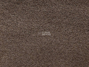 Balta Wild Luxury Paddington 49 фото 1 | FLOORDEALER