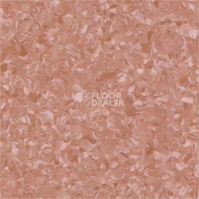 Линолеум Vertigo Victoria Plus V10007 Terracotta фото 1 | FLOORDEALER