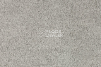 Ковролин Vorwerk Passion 1000/Modena Vorwerk 5v23 фото 1 | FLOORDEALER