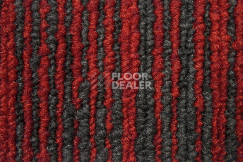 Balsan Trust 570 фото 2 | FLOORDEALER