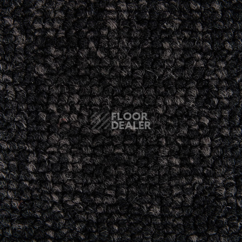 Big  Studio 161 фото 2 | FLOORDEALER