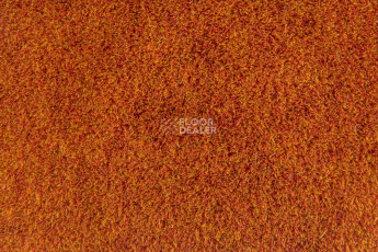 Forbo Flotex Colour Calgary 50*50 t 590024 Calgary Fire фото 2 | FLOORDEALER