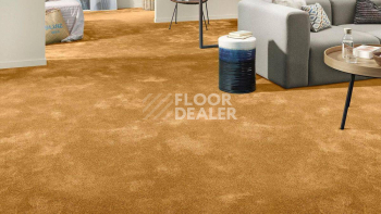 Vorwerk Superior 1064/Lyrica Vorwerk 2f33 фото 2 | FLOORDEALER