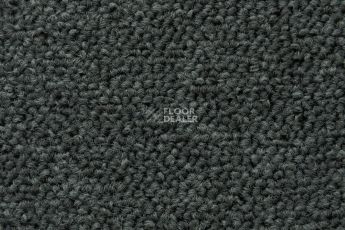 Forbo Tessera Create Space 1 1816 Lithium фото 3 | FLOORDEALER