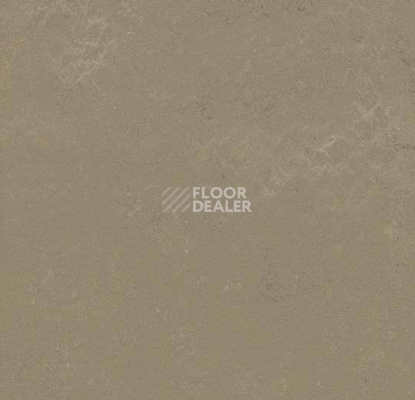 Кварцвиниловые полы Forbo Marmoleum Modular Shade 3721 фото 1 | FLOORDEALER
