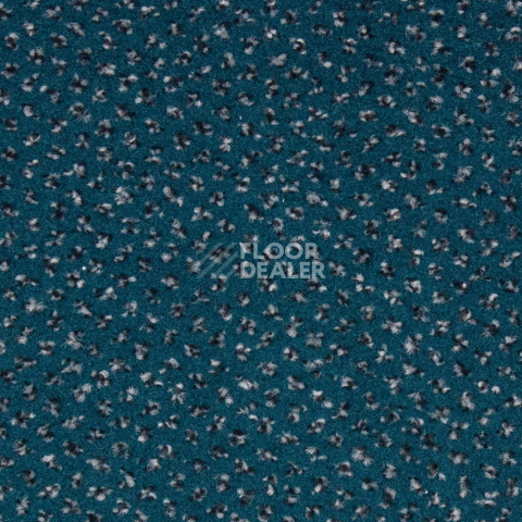 Ковролин Betap Pluto 43 фото 1 | FLOORDEALER