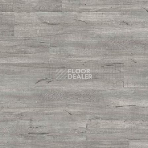 Кварцвиниловые полы Gerflor Creation 55 0846_Swiss_Oak_Pearl фото 1 | FLOORDEALER