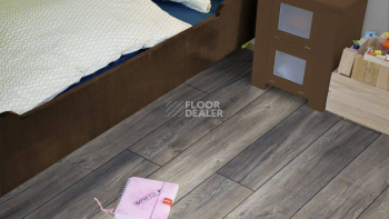 Kronotex Exquisit Plus d3572 Дуб Портовый Серый фото 5 | FLOORDEALER