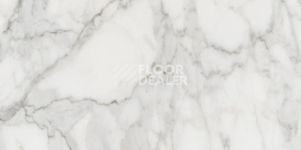 Керамогранит Alba Керамогранит 60x120x10 ab 01 60x120x10 Полир. (Керамический гранит) фото 1 | FLOORDEALER