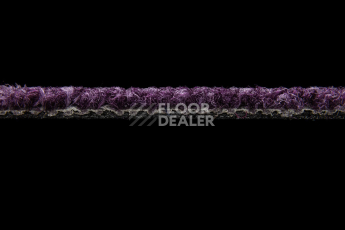 Balsan Season - Summer / Winter 880 фото 3 | FLOORDEALER