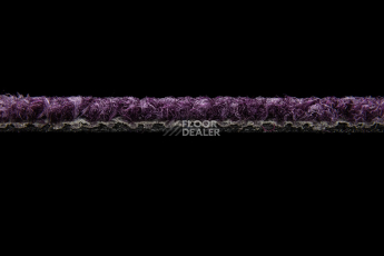 Balsan Season - Summer / Winter 880 фото 3 | FLOORDEALER