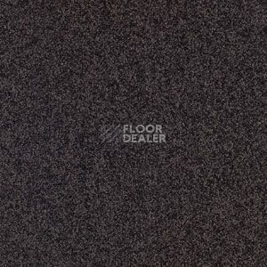 Ковровая плитка Balsan Serenite Dalle 981 Serenite Dalle фото 1 | FLOORDEALER