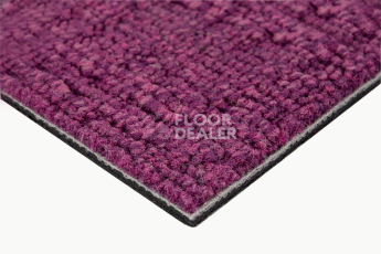 IVC Alternate 467 фото 4 | FLOORDEALER