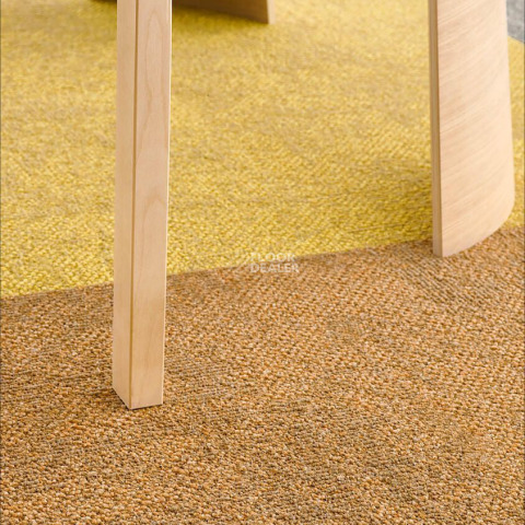 Desso Recharge ac 41 2024 фото 4 | FLOORDEALER