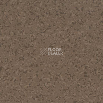 Линолеум Gerflor Mipolam Affinity EL7 4144 фото 1 | FLOORDEALER