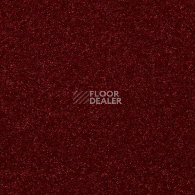 Ковролин Shaw Design Texture Platinum 821 фото 1 | FLOORDEALER