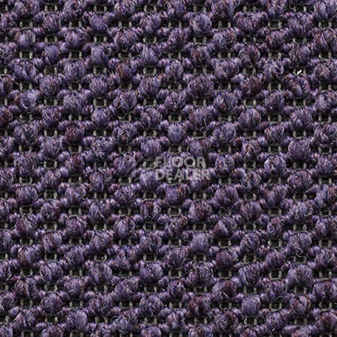 Ковролин Carpet Concept Eco Tre 681165 фото 1 | FLOORDEALER