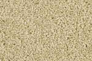 Ковролин Balsan Serenite 620 фото  | FLOORDEALER