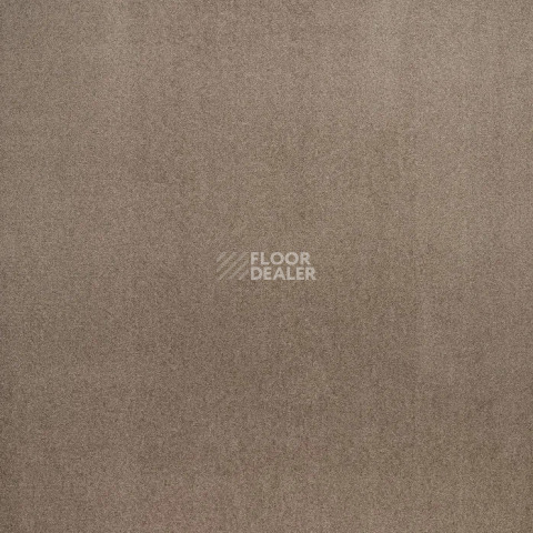Condor Stockholm 492 фото 11 | FLOORDEALER